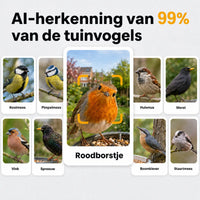 BirdPOV Voederhuisje Met Camera